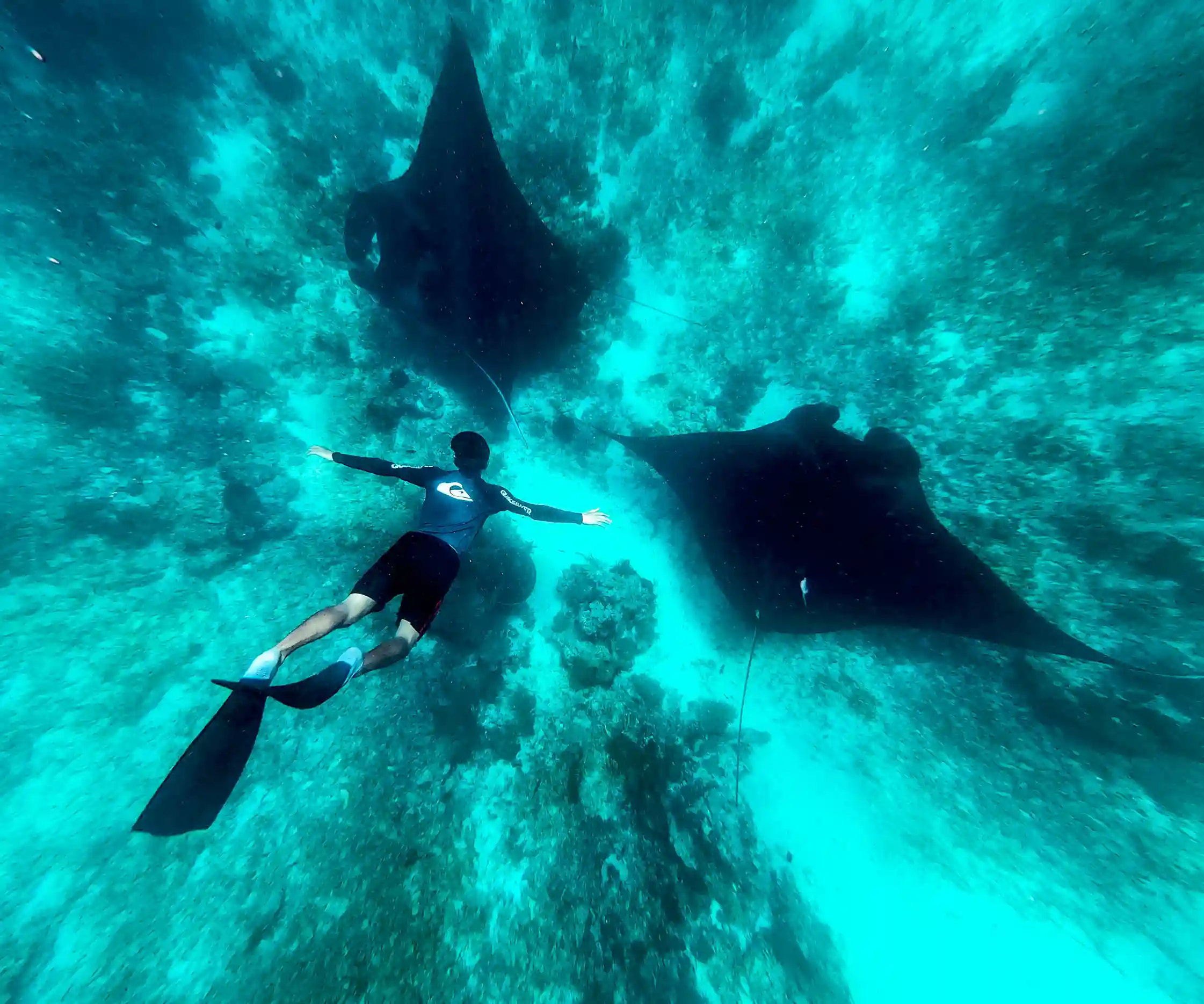 Pristine Marine Environment | Invest Land Labuan Bajo